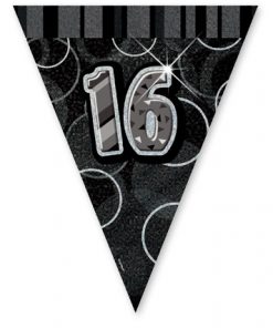 Black/Silver Age 13 Prism Pennant Banner