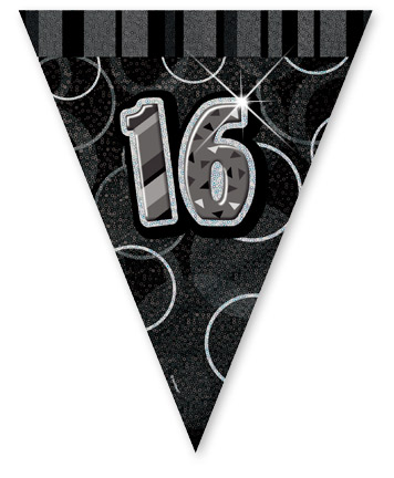 Black/Silver Age 13 Prism Pennant Banner