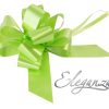 Eleganza 50mm Lime Green Poly Pull Bow