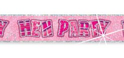 Pink Hen Party Prism Banner