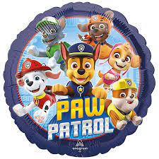 4307801 paw patrol