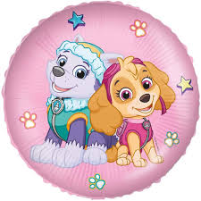 Paw Patrol skye & Everest Foil