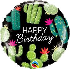 Happy Birthday Catcus
